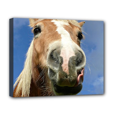 Haflinger  Deluxe Canvas 20  X 16  (framed) by Siebenhuehner