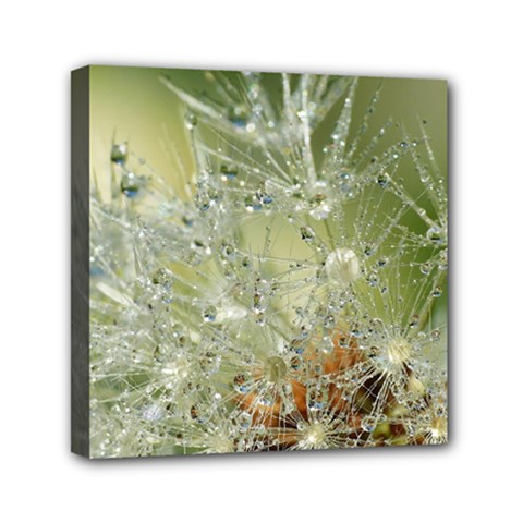 Dandelion Mini Canvas 6  X 6  (framed) by Siebenhuehner