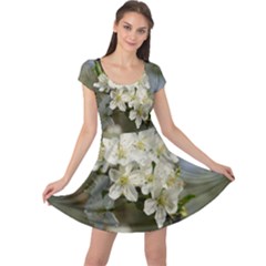 Spring Flowers Cap Sleeve Dress by anstey