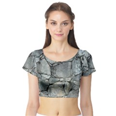 Grey Stone Pile Short Sleeve Crop Top by trendistuff