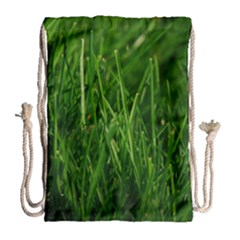 Green Grass 1 Drawstring Bag (large) by trendistuff