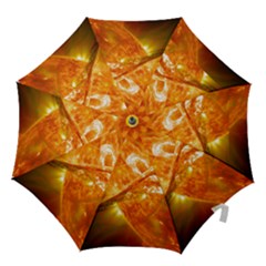 Solar Flare 2 Hook Handle Umbrellas (small) by trendistuff