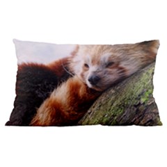 Red Panda Samsung Galaxy Note 4 Case (black) by trendistuff