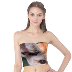 Baby Fox Women s Tube Tops by trendistuff