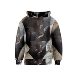 Pretty Blue-eyed Kitty Kid s Pullover Hoodies by trendistuff