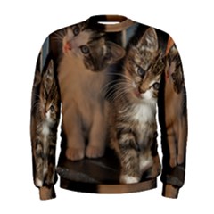 Cute Kitties Men s Sweatshirts by trendistuff