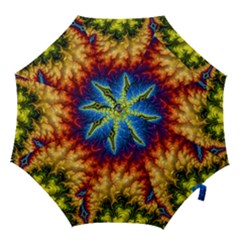 Amazing Special Fractal 25a Hook Handle Umbrellas (small) by Fractalworld