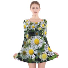 White Summer Flowers Oil Painting Art Long Sleeve Velvet Skater Dress by picsaspassion