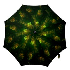 Light Fractal Plants Hook Handle Umbrellas (large) by Nexatart