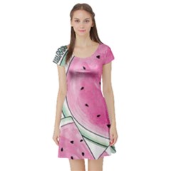 Cute Watermelon Short Sleeve Skater Dress by Brittlevirginclothing