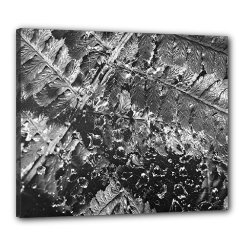 Fern Raindrops Spiderweb Cobweb Canvas 24  X 20  by Simbadda