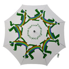 St  Patricks Hook Handle Umbrellas (small) by Valentinaart