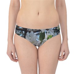 Pure And Simple Hipster Bikini Bottoms by dawnsiegler