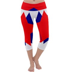 Stars Red Blue Capri Yoga Leggings by Mariart