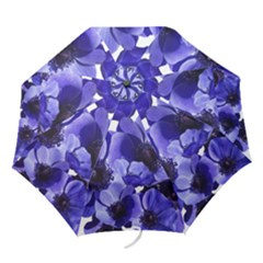 Poppy Blossom Bloom Summer Folding Umbrellas by Nexatart