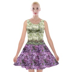  White And Purple Myrtle Velvet Skater Dress by SusanFranzblau