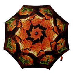 Maple Tree Nice Hook Handle Umbrellas (small) by BangZart