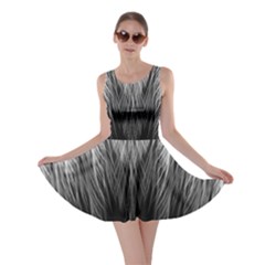 Feather Graphic Design Background Skater Dress by BangZart