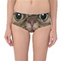 Cute Persian Catface In Closeup Mid-Waist Bikini Bottoms View1