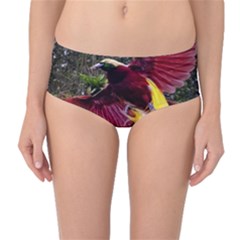 Cendrawasih Beautiful Bird Of Paradise Mid-waist Bikini Bottoms by BangZart