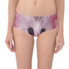 Cat  Animal  Kitten  Pet Mid-waist Bikini Bottoms by BangZart