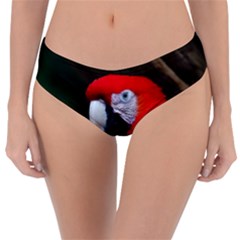 Scarlet Macaw Bird Reversible Classic Bikini Bottoms by BangZart