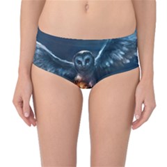 Owl And Fire Ball Mid-waist Bikini Bottoms by BangZart