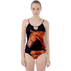 Horse Cut Out Top Tankini Set by Valentinaart