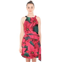 Red Poinsettia Flower Halter Collar Waist Tie Chiffon Dress by Mariart