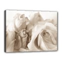 Vintage Rose Shabby Chic Background Canvas 16  x 12  View1