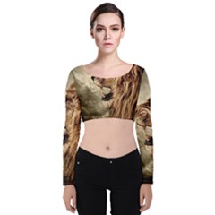 Roaring Lion Velvet Long Sleeve Crop Top by Celenk