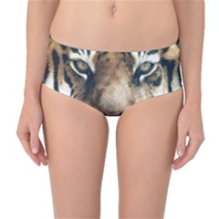 Tiger Bengal Stripes Eyes Close Mid-waist Bikini Bottoms by BangZart