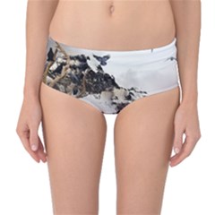 Birds Crows Black Ravens Wing Mid-waist Bikini Bottoms by BangZart
