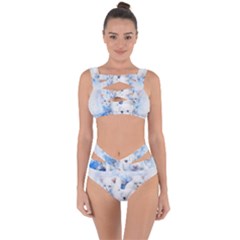 Dog Cats Pet Art Abstract Bandaged Up Bikini Set  by Celenk
