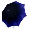 Ombre Hook Handle Umbrellas (Large) View2
