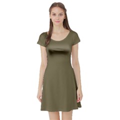 Rainy Brown Short Sleeve Skater Dress by snowwhitegirl