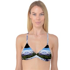 Mountaincurvemore Reversible Tri Bikini Top by TestStore4113