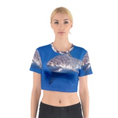 Great White Shark 5 Cotton Crop Top by trendistuff