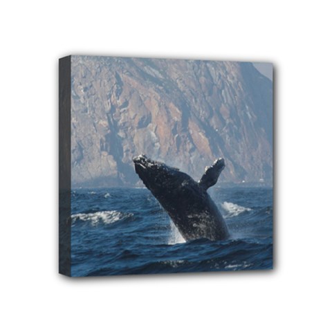 Humpback 1 Mini Canvas 4  X 4  by trendistuff