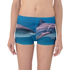 Tiger Shark 1 Boyleg Bikini Bottoms by trendistuff