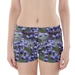 Blueberries 2 Boyleg Bikini Wrap Bottoms by trendistuff