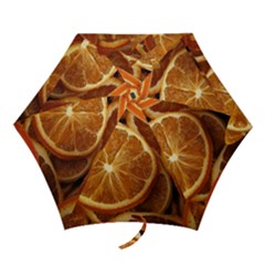 Oranges 5 Mini Folding Umbrellas by trendistuff