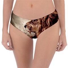 Roaring Lion Reversible Classic Bikini Bottoms by Nexatart