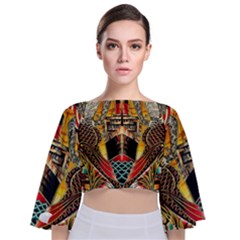 Hail Fine Art Print Tie Back Butterfly Sleeve Chiffon Top by Sapixe