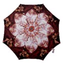 Highland Park 12 Hook Handle Umbrellas (Large) View1