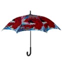 Dscf2258 - point of view-1 Hook Handle Umbrellas (Large) View3