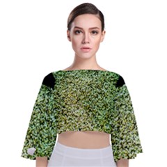 Colors And Fabrics 26 Tie Back Butterfly Sleeve Chiffon Top by bestdesignintheworld