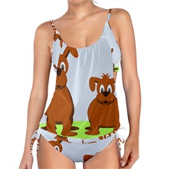 Animals Dogs Mutts Dog Pets Tankini Set by Nexatart