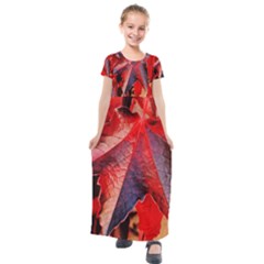 Wine Partner Wild Vine Leaves Plant Kids  Short Sleeve Maxi Dress by Sapixe