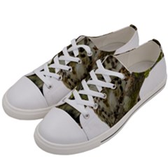 Owl Bird Women s Low Top Canvas Sneakers by Sapixe